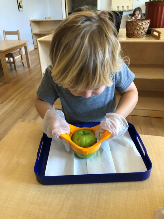 Charlotte Montessori Toddler --- Practical Life